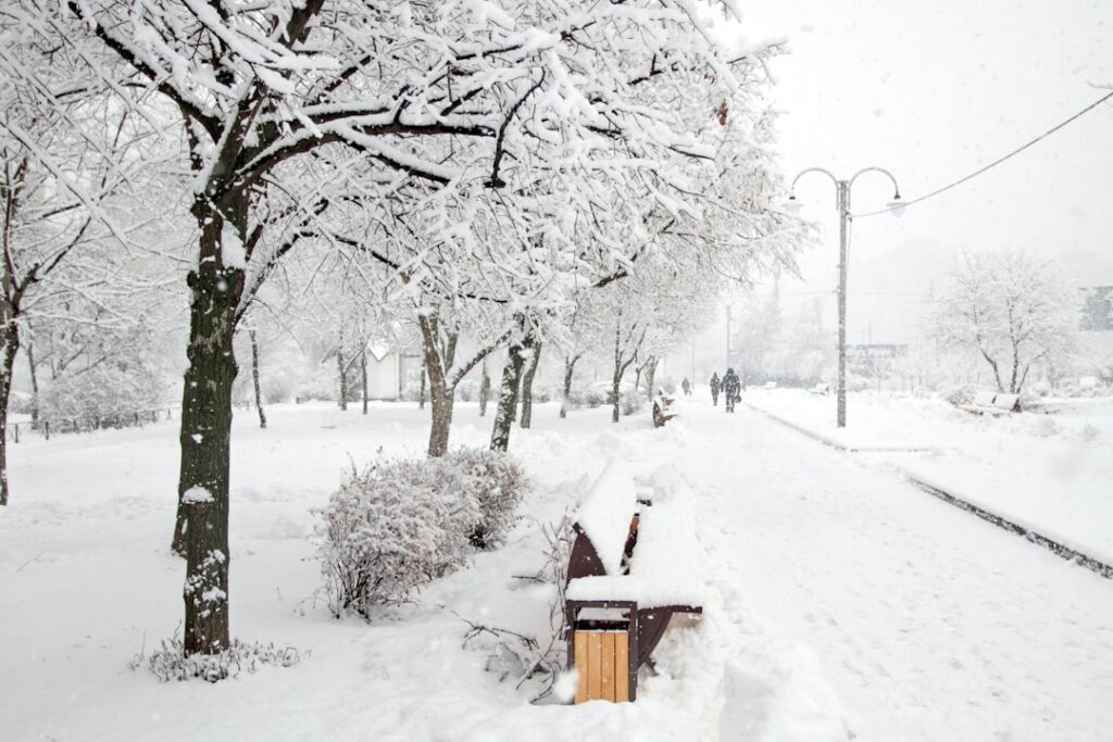 Photo Snow-covered road